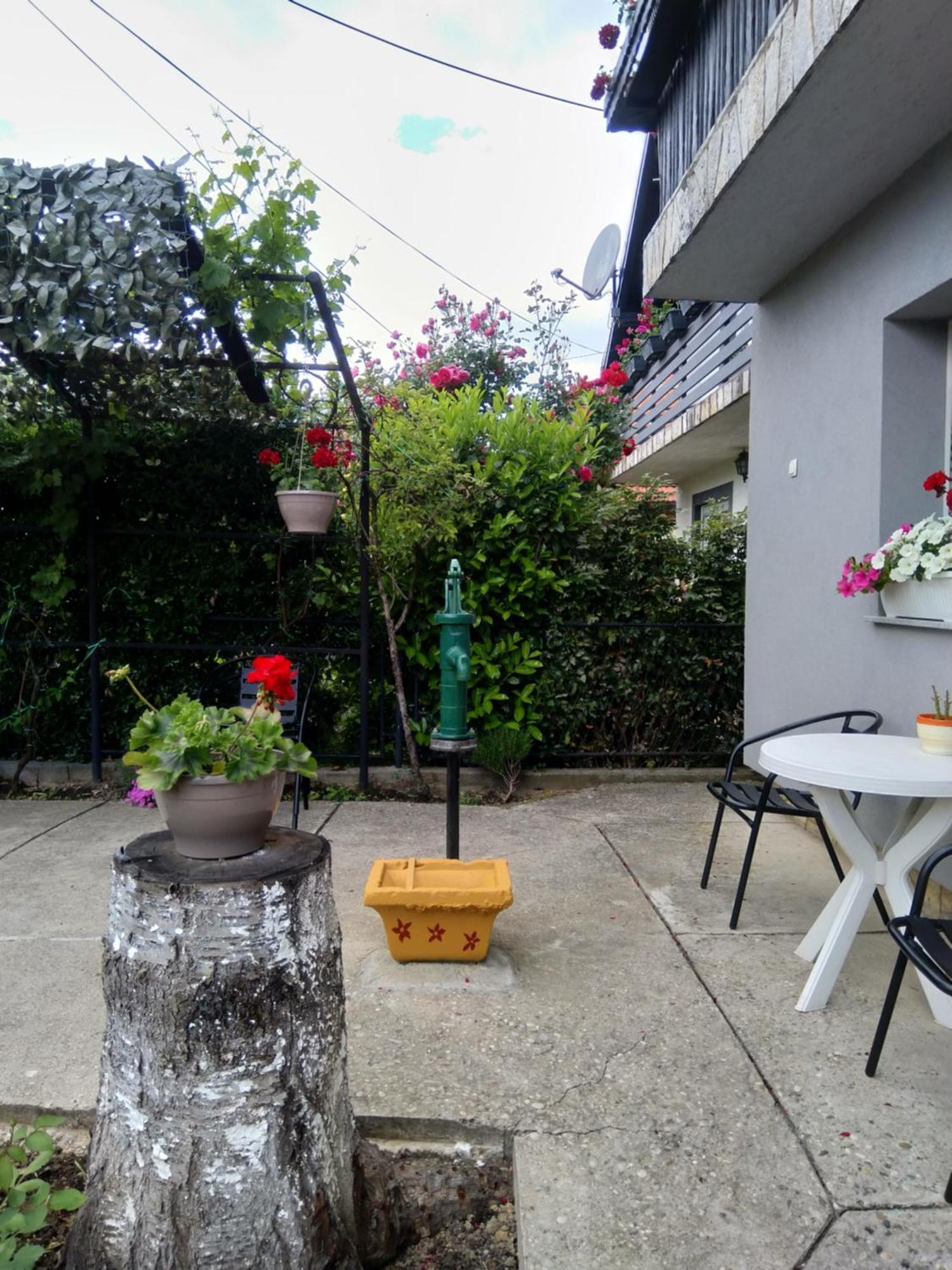Pepa Zg Apartment Загреб Екстериор снимка
